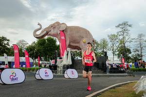 BIB: 
                            <button type="button" onclick="openModal(26528381)" class="btn btn-primary btn-sm float-right btn-popup" data-toggle="modal" data-target=".modal-high-quality">
                        <i class="fas fa-shopping-cart"></i> Add to Cart
                    </button>
                                            <button type="button" onclick="isThisMe(26528381, true)" class="btn btn-success btn-sm float-right btn-popup btn-isme hidden" data-toggle="tooltip" data-placement="bottom" title="นี่คือรูปของคุณใช่ไหม คลิกที่นี่เพื่อเอาเข้าอัลบั้ม">
                        <i class="fas fa-plus"></i> Add to album
                    </button>
                    <button type="button" onclick="isThisMe(26528381, false)" class="btn btn-warning btn-sm float-right btn-popup btn-isnotme hidden">
                        <i class="fas fa-ban"></i> Remove from album
                    </button>